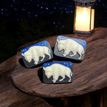 Load image into Gallery viewer, Ninak a Yʋnvsh Tohbi yʋt Annta- At Night there's a White Bison