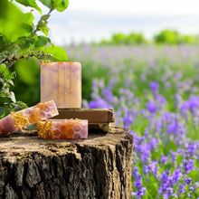 Load image into Gallery viewer, Bee Still