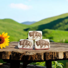 Load image into Gallery viewer, Yʋnʋsh-Bison