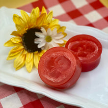 Load image into Gallery viewer, Loofah Scrubbies