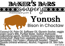 Load image into Gallery viewer, Yʋnʋsh-Bison
